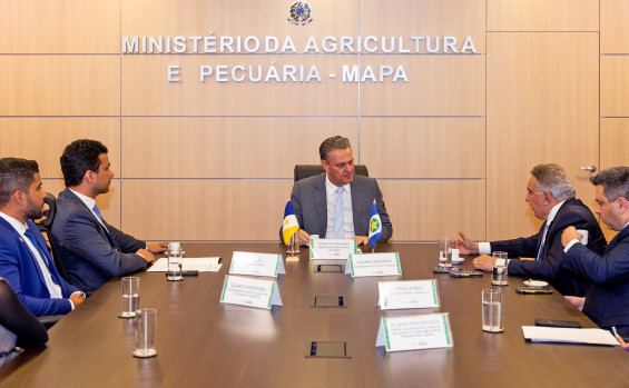 Governador Laurez Moreira busca parceria com Ministério da Agricultura e Pecuária para fortalecer produtores rurais no estado