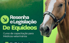 Adapec abre inscrição para curso de resenha e legislação de equídeos
