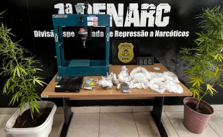 Operação Narke V: Polícia Civil prende traficante, apreende várias porções de drogas e desarticula ponto de venda de entorpecentes em Palmas  
