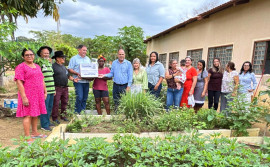 Governo do Tocantins beneficia 42 mil agricultores familiares com entrega de kits de hortifrúti e sementes pelo programa Mesa Farta