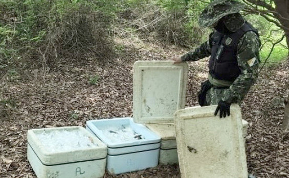 Naturatins intensifica ações de conscientização e fiscalização durante a piracema, no norte do estado