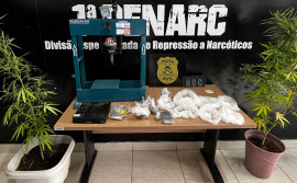 Segurança Pública do Tocantins integra Operação Narke V e amplia ações contra o tráfico de drogas