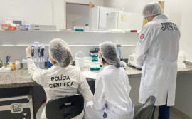 Polícia Científica do Tocantins é reconhecida nacionalmente por excelência em análises de DNA e liderança em inserção de perfis genéticos
