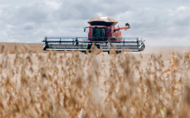 Adapec celebra 27 anos de fortalecimento ao agronegócio tocantinense