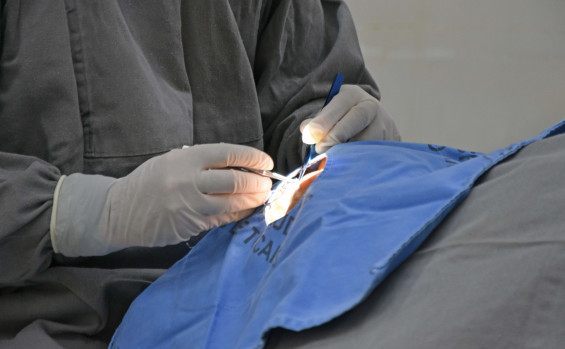 Governo do Tocantins celebra 13 anos da Central Estadual de Transplantes e reforça rede de solidariedade pela vida