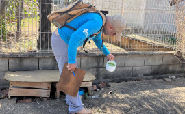 Governo do Tocantins celebra queda no número de arboviroses em 2025


