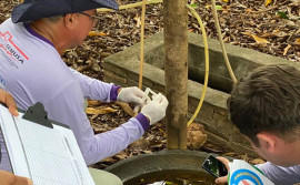 Governo do Tocantins sanciona lei que reforça enfrentamento à dengue

