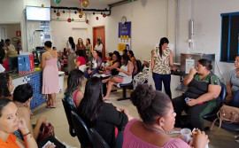 Governo do Tocantins realiza mutirão de consultas para gestantes de alto risco