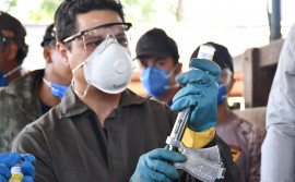 Governo do Tocantins alerta para o fim do prazo da segunda etapa da campanha de vacinação contra a brucelose que termina nesta quarta-feira, 31