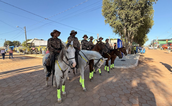 Com atuação da Polícia Militar, Tocantins encerra 2025 com queda histórica na criminalidade e recorde em apreensão de drogas