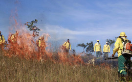 Ações do Governo do Tocantins resultam em queda de mais de 30% na área afetada por incêndios em Unidades de Conservação do estado em 2025