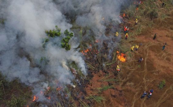 Ações do Governo do Tocantins resultam em queda de mais de 30% na área afetada por incêndios em Unidades de Conservação do estado em 2025