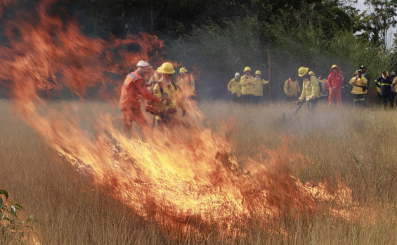 Ações do Governo do Tocantins resultam em queda de mais de 30% na área afetada por incêndios em Unidades de Conservação do estado em 2025