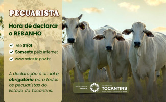 Produtores rurais devem declarar a movimentação do rebanho até 31 de janeiro de 2026 