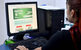 Governo do Tocantins facilita emissão gratuita do extrato de movimentação do rebanho