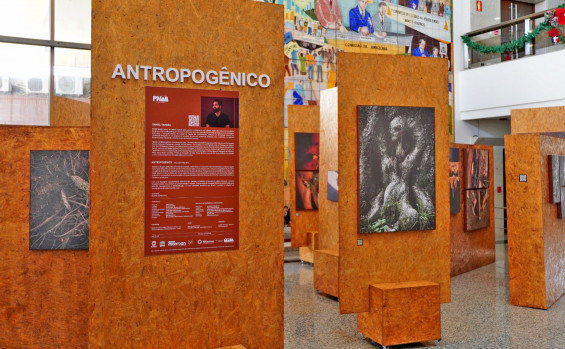 Exposição “Antropogênico” segue até dia 14 de janeiro no Palácio Araguaia com entrada gratuita