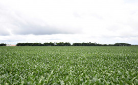 Governo do Tocantins alerta que o plantio da soja de sequeiro entra na reta final e se encerra em 15 de janeiro