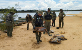 Naturatins intensifica Operação Piracema e realiza apreensões em diversas regiões do estado