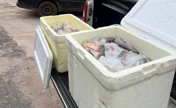 Naturatins intensifica fiscalização e apreende 6,8 mil metros de redes na Operação Piracema 2025/2026