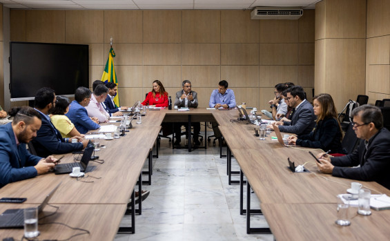 Em Brasília, Governo do Tocantins debate redução de queimadas ilegais e do desmatamento não autorizado na Amazônia Legal