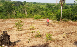 Governo do Tocantins celebra 4ª posição no ranking de contratos do Programa Nacional de Crédito Fundiário