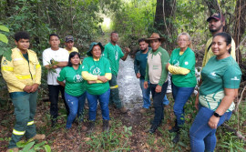 Naturatins fortalece ações ambientais com curso de recuperação de nascentes no Parque Estadual do Cantão