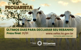 Prazo para declarar rebanho no Tocantins termina em 31 de janeiro
