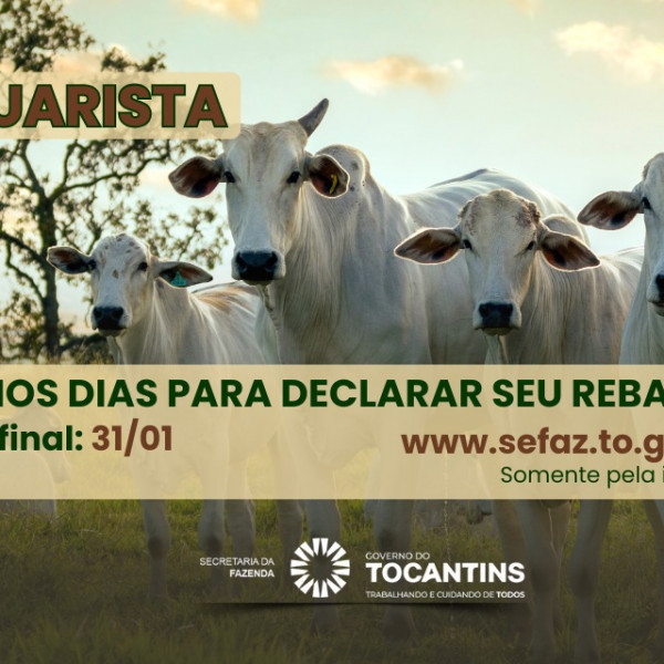 Prazo para declarar rebanho no Tocantins termina em 31 de janeiro

