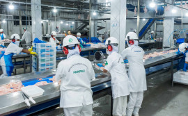 Governo do Tocantins orienta estabelecimentos com registro no Serviço de Inspeção Estadual a realizarem recadastramento até 31 de março