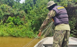Naturatins reforça fiscalização durante a Operação Piracema nas regiões norte e sul do Tocantins