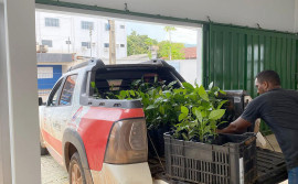 Naturatins realiza doação de 500 mudas para preservação e reflorestamento do Cerrado