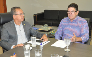 Governo do Tocantins alinha integração de sistemas para fortelacer controle fiscal da cadeia pecuária