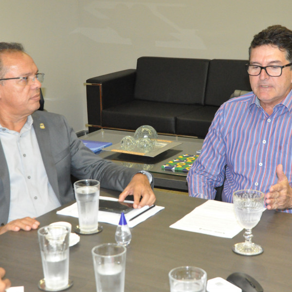 Governo do Tocantins alinha integração de sistemas para fortelacer controle fiscal da cadeia pecuária