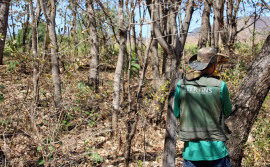 Itertins inicia novo mutirão de atendimentos em Combinado