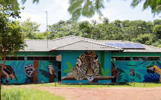 Naturatins registra aumento de cerca de 40% nos atendimentos a animais silvestres no Centro de Fauna do Tocantins em 2025