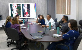 Governo do Tocantins e Prefeitura de Palmas alinham estratégias para fortalecer o enfrentamento às arboviroses