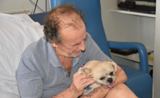 Visita especial de cachorro à paciente reforça cuidado humanizado no HGP