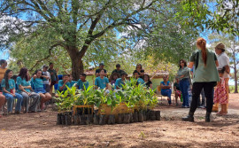 Naturatins realiza ação de educação ambiental no Assentamento Macaúba, em Pium