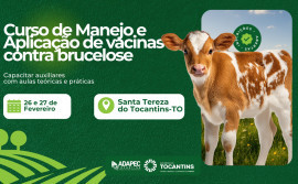 Adapec abre inscrições para curso de Manejo e Aplicação de Vacinas contra Brucelose nos municípios de Santa Tereza e Ananás