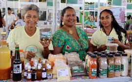 Governo do Tocantins realiza 3º Festival do Buriti, na região da APA Cantão, e fortalece a sociobiodiversidade da região