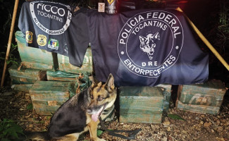 FICCO/TO e Polícia Civil apreendem quase meia tonelada de cocaína e prendem suspeito de tráfico internacional