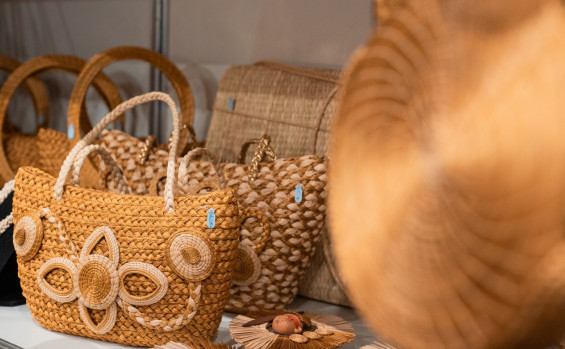 Governo do Tocantins celebra três anos da Secult com avanços históricos e lançamento de selo comemorativo