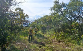 Naturatins inicia ações de prevenção a incêndios florestais no Parque Estadual do Lajeado