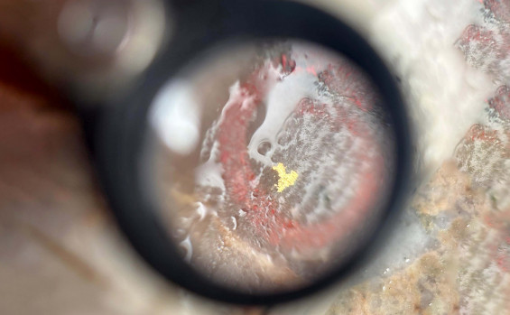 Impulsionado pelo Governo do Tocantins, setor mineral movimenta R$ 2 bilhões e fortalece a economia do estado