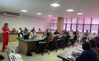 SES-TO participa de reunião para alinhamento de ações da Semana Nacional da Saúde – CNJ 2026 