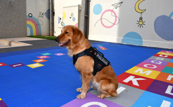 Governo do Tocantins oferece terapia assistida por cães a pacientes do Centro Especializado em Transtorno do Espectro Autista