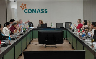 SES-TO participa de reunião da Câmara Técnica em Brasília