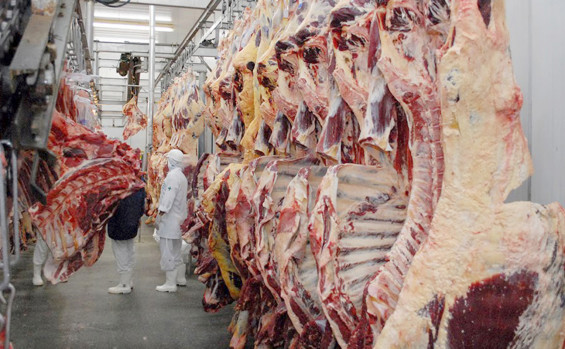 Tocantins registra o segundo maior crescimento econômico do Brasil nos últimos 30 anos