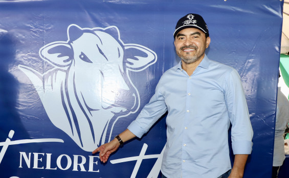 Rebanho bovino do Tocantins é o sexto que mais cresceu no Brasil, com 39,2%