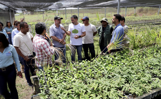 Semana da Água inicia com apresentação do projeto Plantando Água e ações de preservação de nascentes
